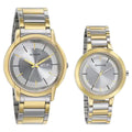 Analog Stainless Steel Pair