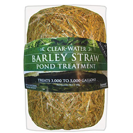 Barley Straw