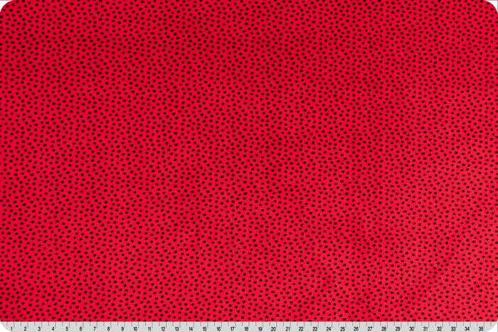 Extra Wide Dottie Cuddle® Cardinal - Shannon Fabrics