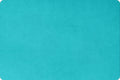 Extra Wide Solid Cuddle 3® Belize - Shannon Fabrics