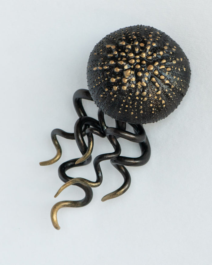 Medusae: Astra