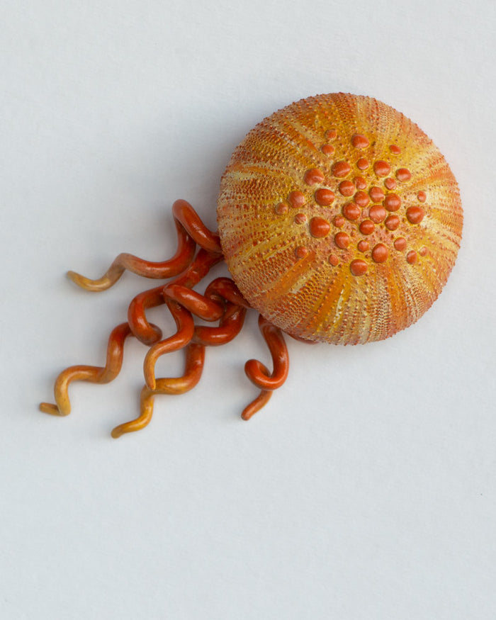 Medusae: Astra