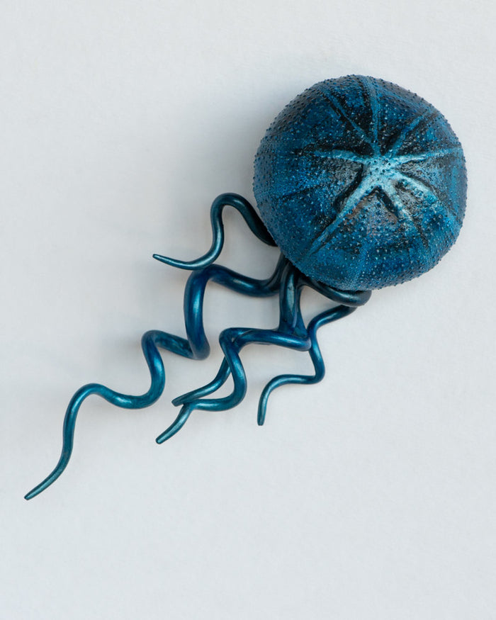 Medusae: Nebula