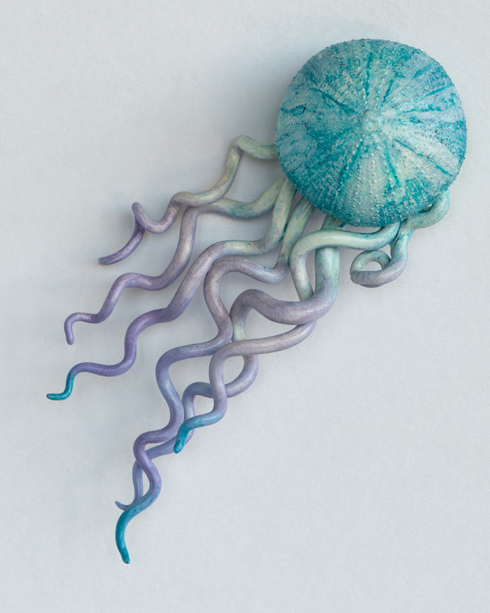 Medusae: Nebula