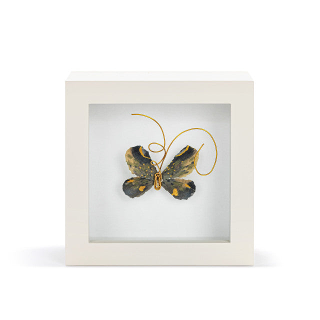 Shadow Box