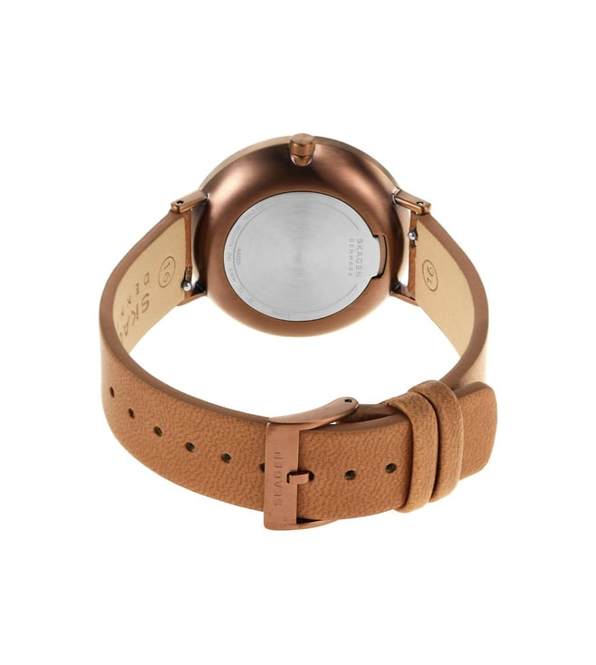 SKAGEN Aaren Naturals Analog Watch for Women SKW2973