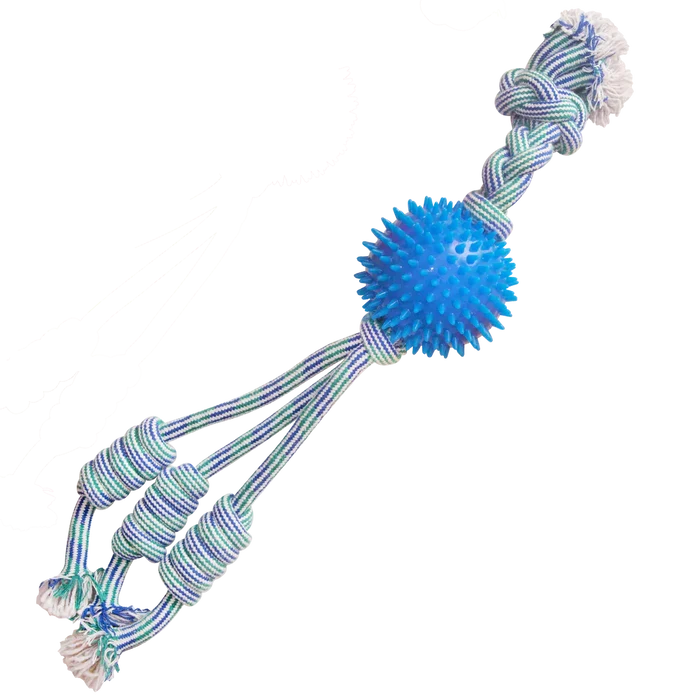 Snugarooz Feel'N Spikey Dog Toy