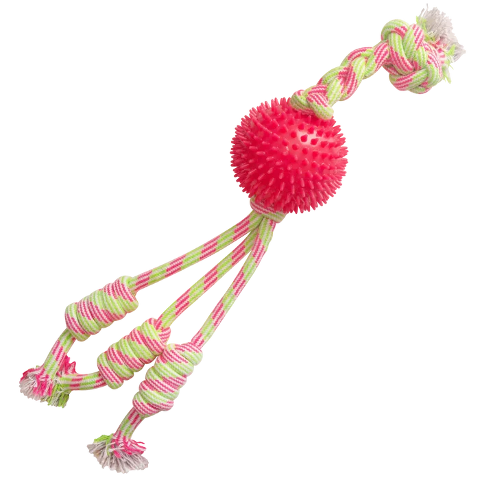 Snugarooz Feel'N Spikey Dog Toy