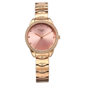 Titan Raga Showstopper Quartz Analog Watch for Women 95281wm01