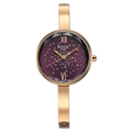 Titan Raga Showstopper Quartz Analog Watch for Women ns95271wm01